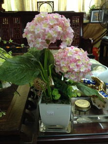 內購盛宴 日用百貨超值精選，禮品公司大甩賣等你來！